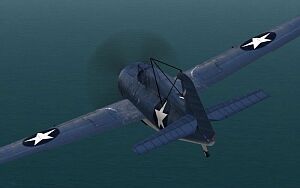 Wildcat